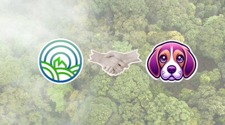 PPT and Purple Beagle Digital logos seperated by a handshake graphic set against a forest